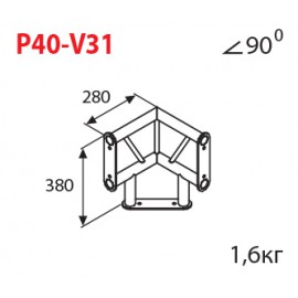 P40-V31